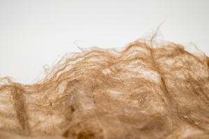Bild: Starch-Based Bioplastic